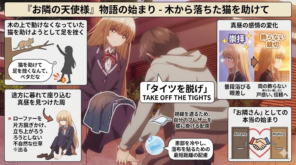 猫を助けようとして怪我をした少年と、それをきっかけに距離を縮める少女の関係を解説したインフォグラフィック